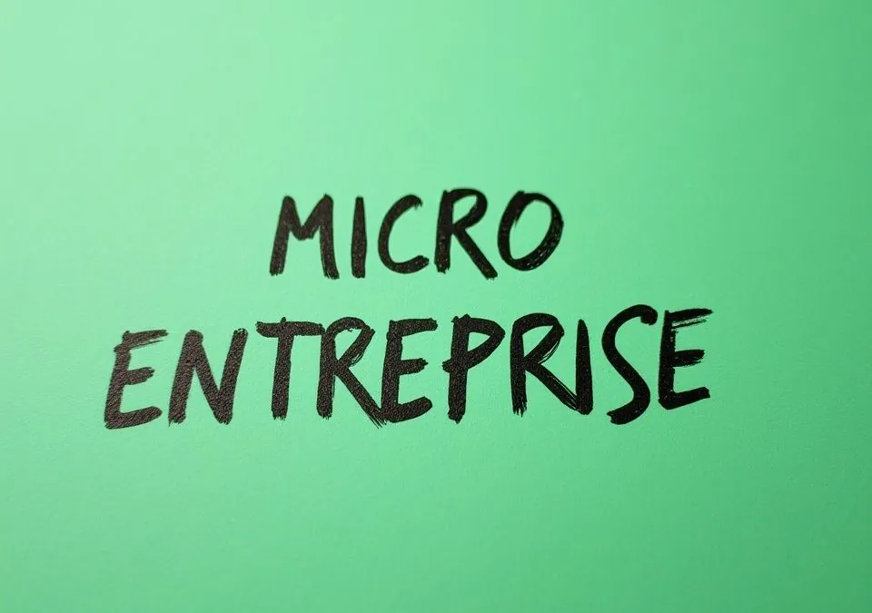 micro entreprise guide 2025