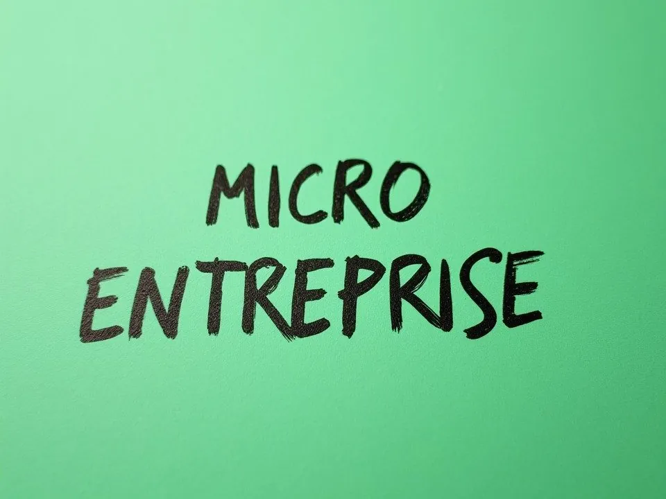micro entreprise guide 2025